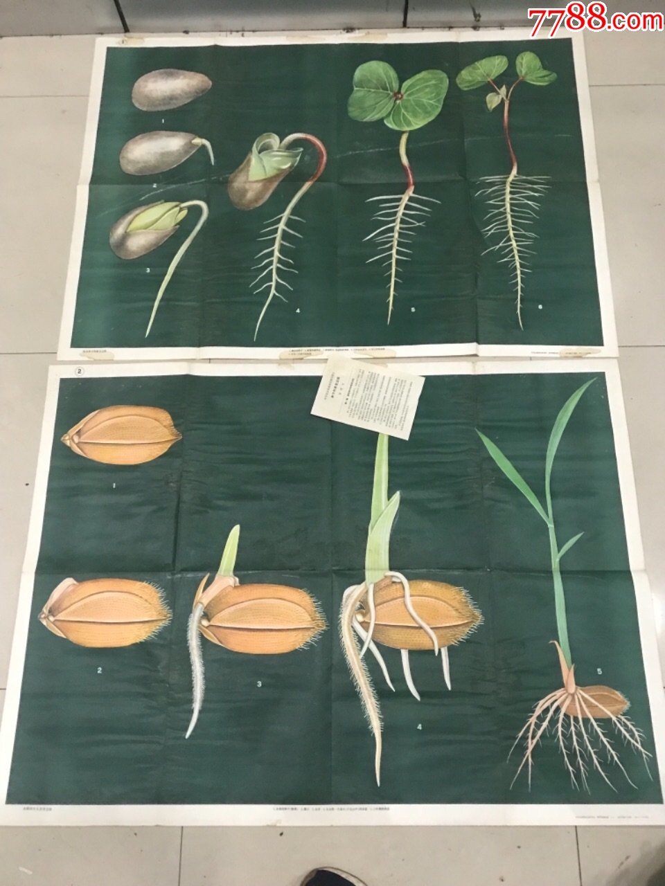 爱游戏（ayx）中国官方网站-过“世界地球日”当持之以恒