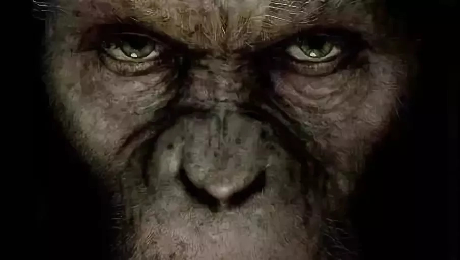 爱游戏（ayx）中国官方网站