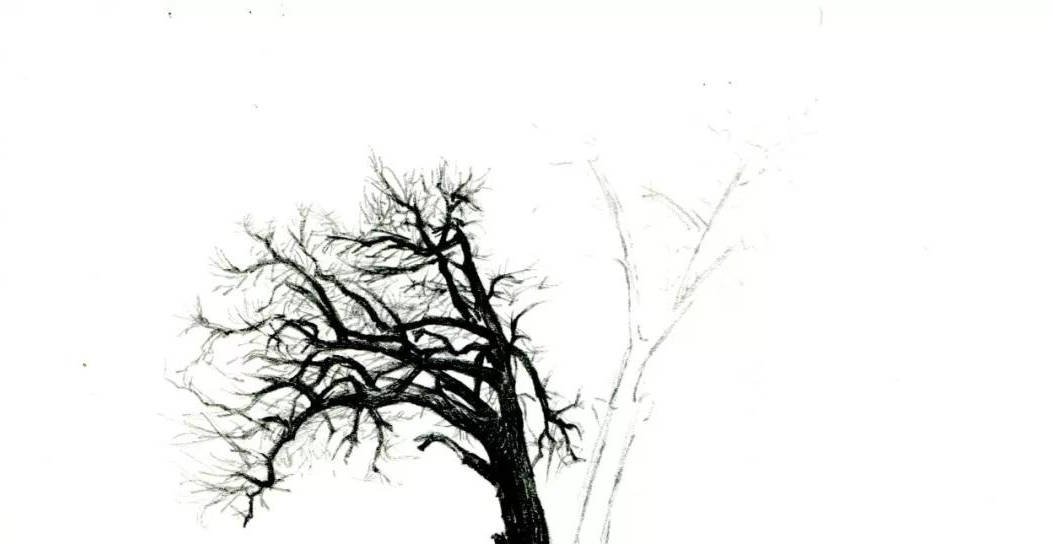 【推荐】手绘教程低级自学|爱游戏(ayx)中国官方网站(图5)
【推荐】手绘教程低级自学|爱游戏(ayx)中国官方网站(图5)