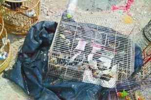 ‘爱游戏(ayx)中国官方网站’世台联悼念丁俊晖母亲:培养了丁配得上一切尊重(图4) ayx官方网站