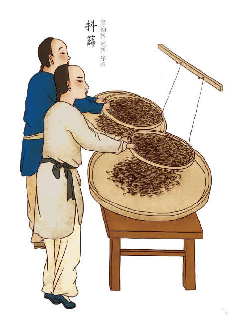 “爱游戏(ayx)中国官方网站”兔子基因改造室内植物 开启空气污染净化新篇章(图3) ayx官方网站