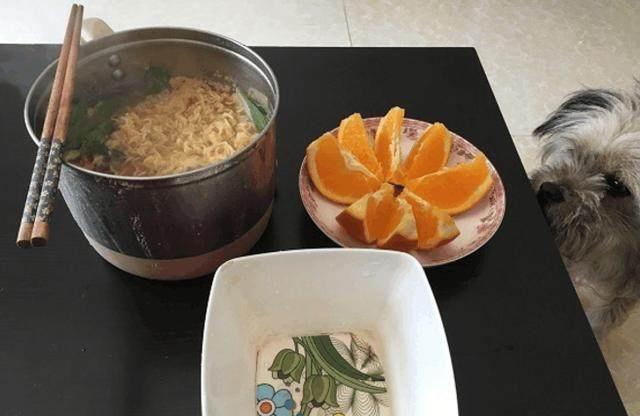 托万无缘法德大战_ayx官网