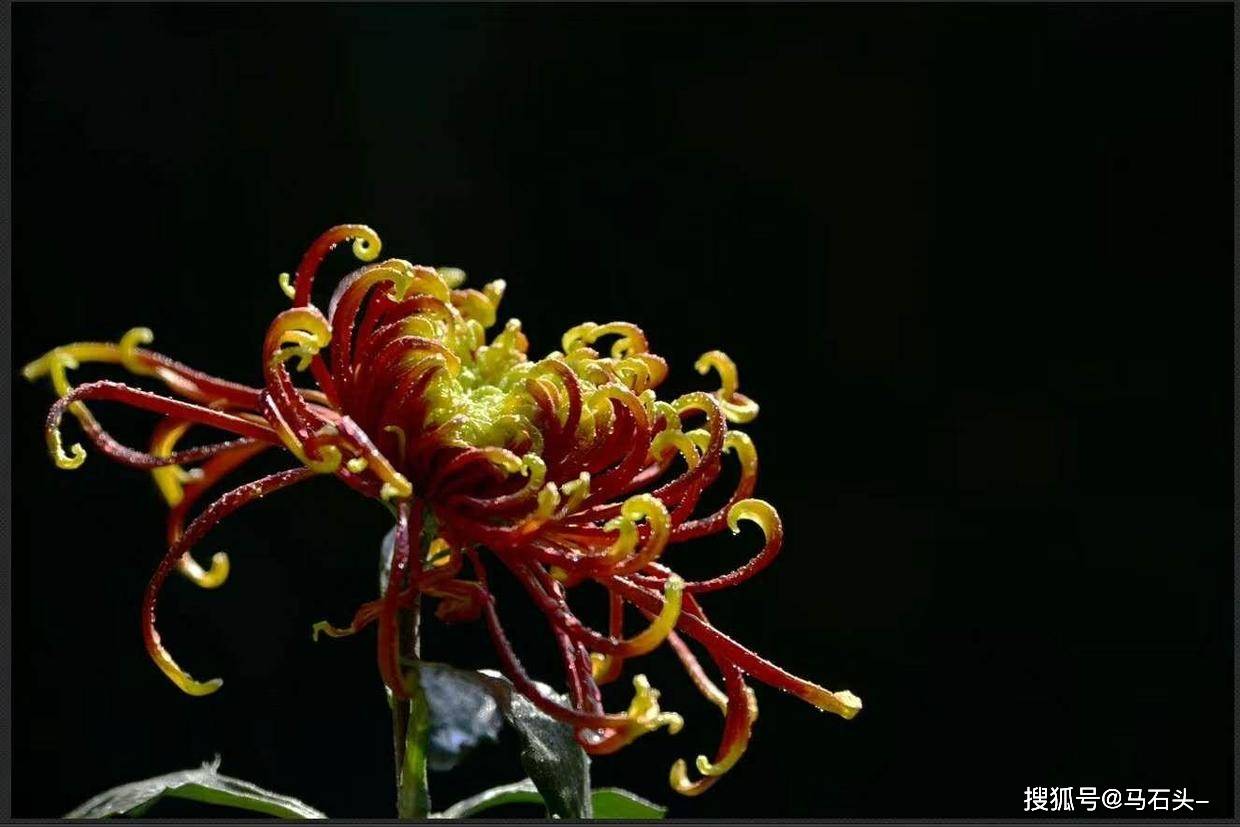 
岂非你们不明白吗|ayx官网(图2)