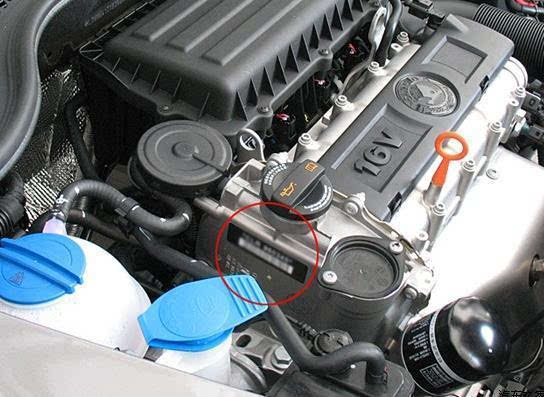 大型电视剧《妈祖信俗在传承》始于莆田湄洲岛|ayx官方网站(图10) ayx官网