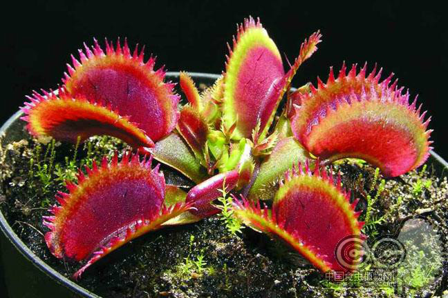 林德勒夫：我们要更多地拿出下半场的表现才行【ayx官网】