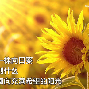 潍坊市体育运动学校举办端午节主题文化活动“ayx官方网站”(图3) 爱游戏(ayx)中国官方网站