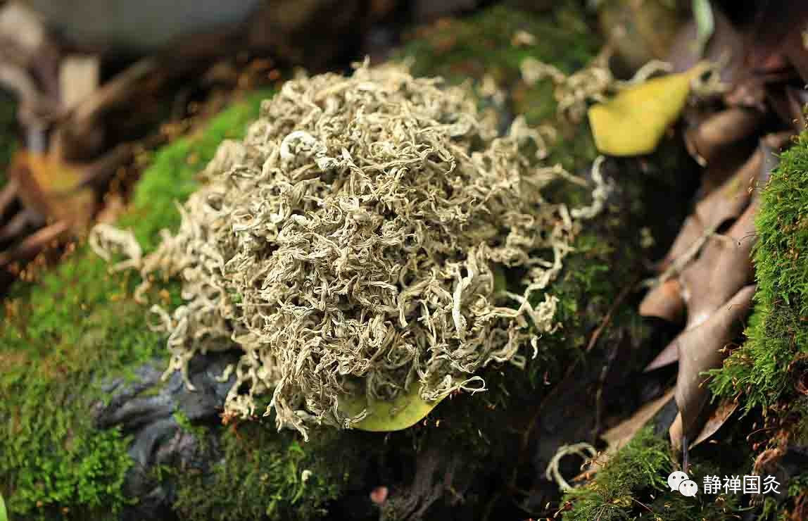 ayx官网_
德国各都会出轨率排名!男女大差别…(图4) ayx官网