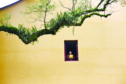 董卿:女人四十岁以后,学会谋划自己,远比谋划婚姻更重要|爱游戏(ayx)中国官方网站(图3) ayx官网