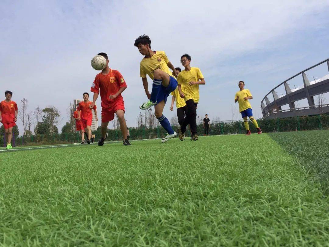 
浦江四中足球队征战“菁英杯”载誉而归【ayx官方网站】(图12)