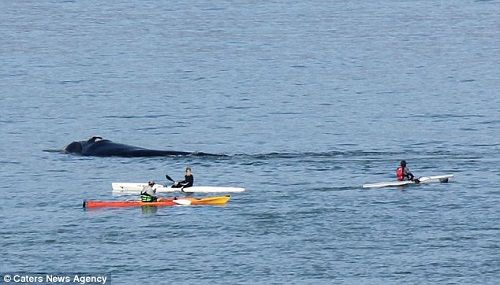 爱游戏(ayx)中国官方网站_世界杯热身赛-意大利5-3大胜 伊莫比莱助因西涅进2球(图4) ayx官网