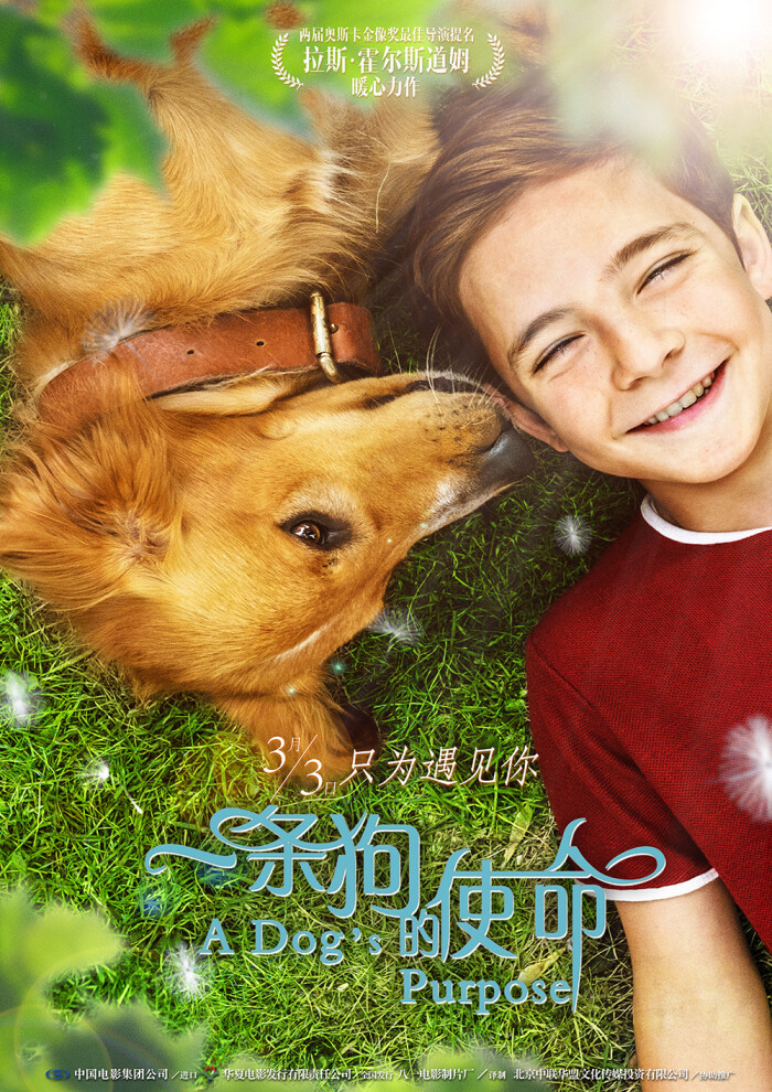 爱游戏（ayx）中国官方网站