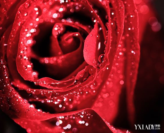 “ayx官网”欧冠小组赛重燃战火 亚洲球员开花(图2) 爱游戏(ayx)中国官方网站