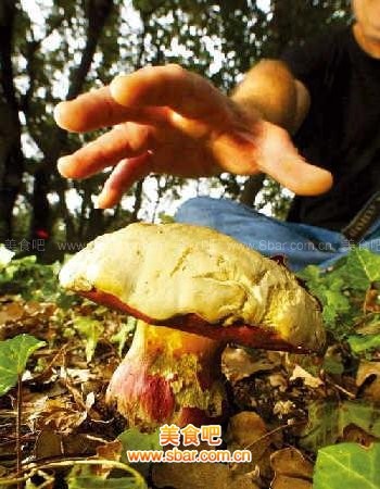 7-0狂胜!巴西41岁女足传奇欧冠破门 一夜刷新18年神奇纪录_ayx官网(图4) ayx官方网站