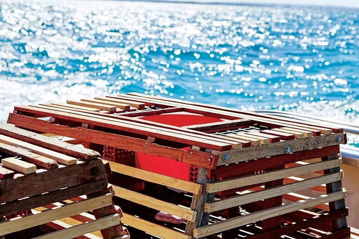 ayx官网|全国人大常委会再次审议固体废物污染环境防治法(图2) ayx官方网站