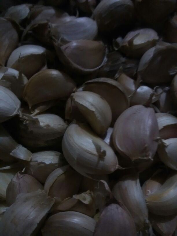 爱游戏（ayx）中国官方网站