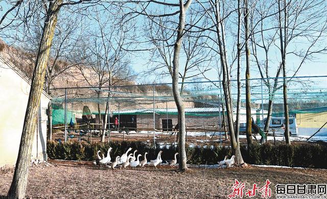 五大联赛+欧冠+NBA全部停摆!75年来的至暗时刻 体育迷哭了_ayx官网(图2) ayx官方网站