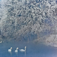 海内外五国“武林高手”山西晋中比太极（图）【爱游戏（ayx）中国官方网站】