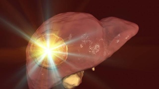 【爱游戏（ayx）中国官方网站】海洋重金属污染严重，国家抽检海蟹合格率仅20%