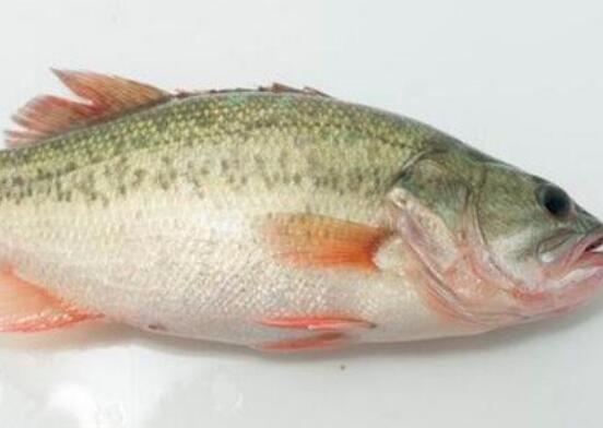 爱游戏（ayx）中国官方网站_GIF：强势挽回！迪玛利亚世界波扳平比分