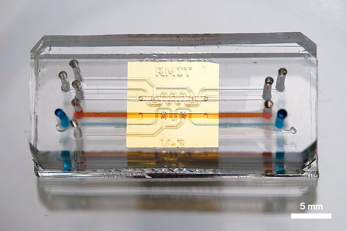 在巴西萨尔瓦多遇海都报粉丝 福建商人垄断雨伞市场:ayx官网(图2) 爱游戏(ayx)中国官方网站