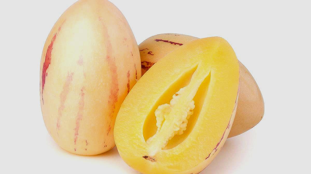 “ayx官方网站”正在播出:《星光大道》2020年度总决赛(图1) ayx官方网站