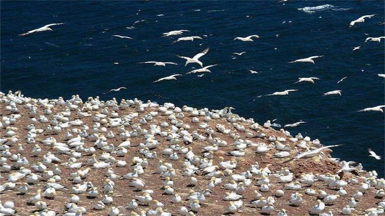 爱游戏（ayx）中国官方网站