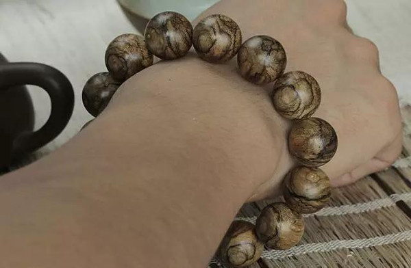 ayx官网_南安普顿有意阿尔卡塞尔(图1) 爱游戏(ayx)中国官方网站