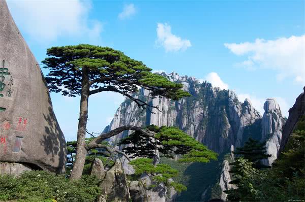 “ayx官网”
欧国联 意大利vs荷兰 荷意巅峰之战 意大利与荷兰争夺小组第一(图6) ayx官网