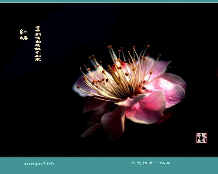 詹皇受困7+4波什绝杀不中 乔治37+6+6步行者2-3热火【爱游戏(ayx)中国官方网站】(图4) ayx官方网站