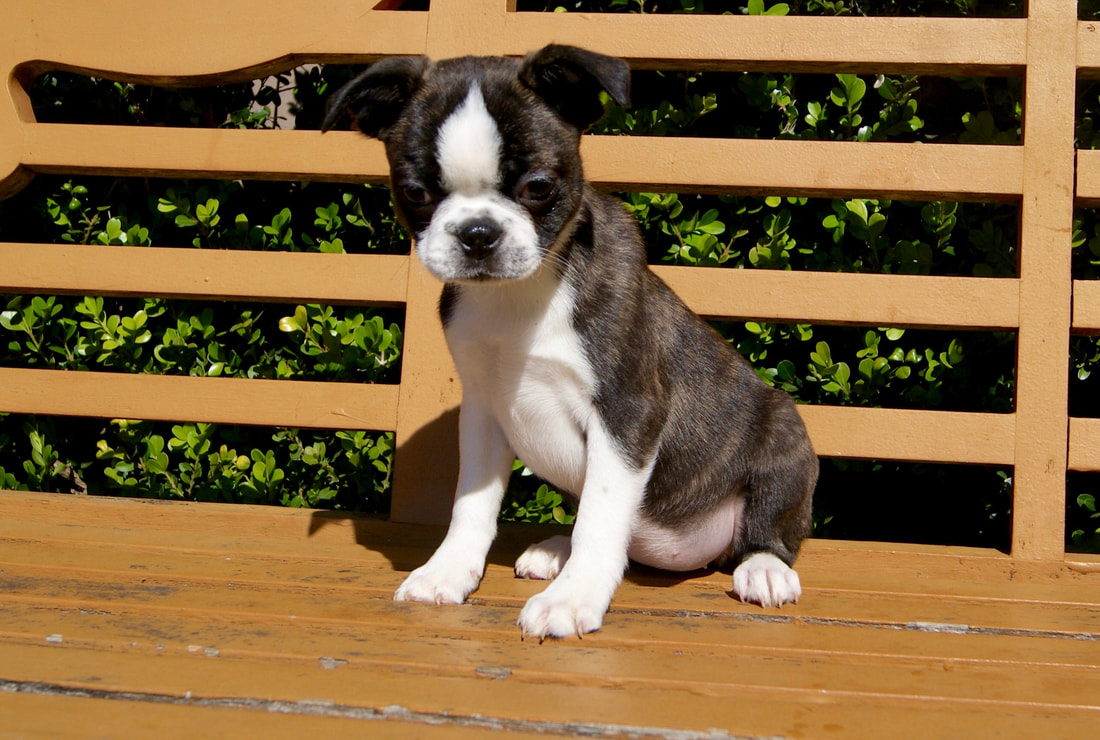 爱游戏（ayx）中国官方网站