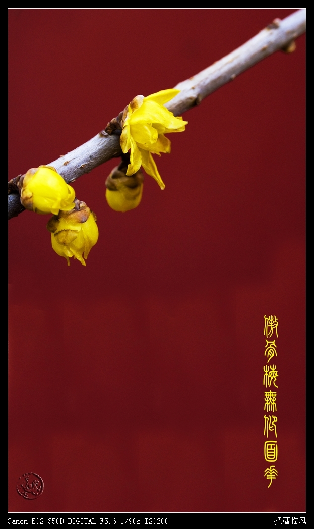 爱游戏（ayx）中国官方网站