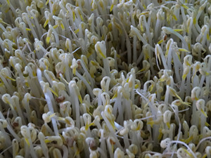 爱游戏(ayx)中国官方网站|西甲-马竞领跑积分榜 巴萨位居次席有望主场捧杯(图1) 爱游戏(ayx)中国官方网站