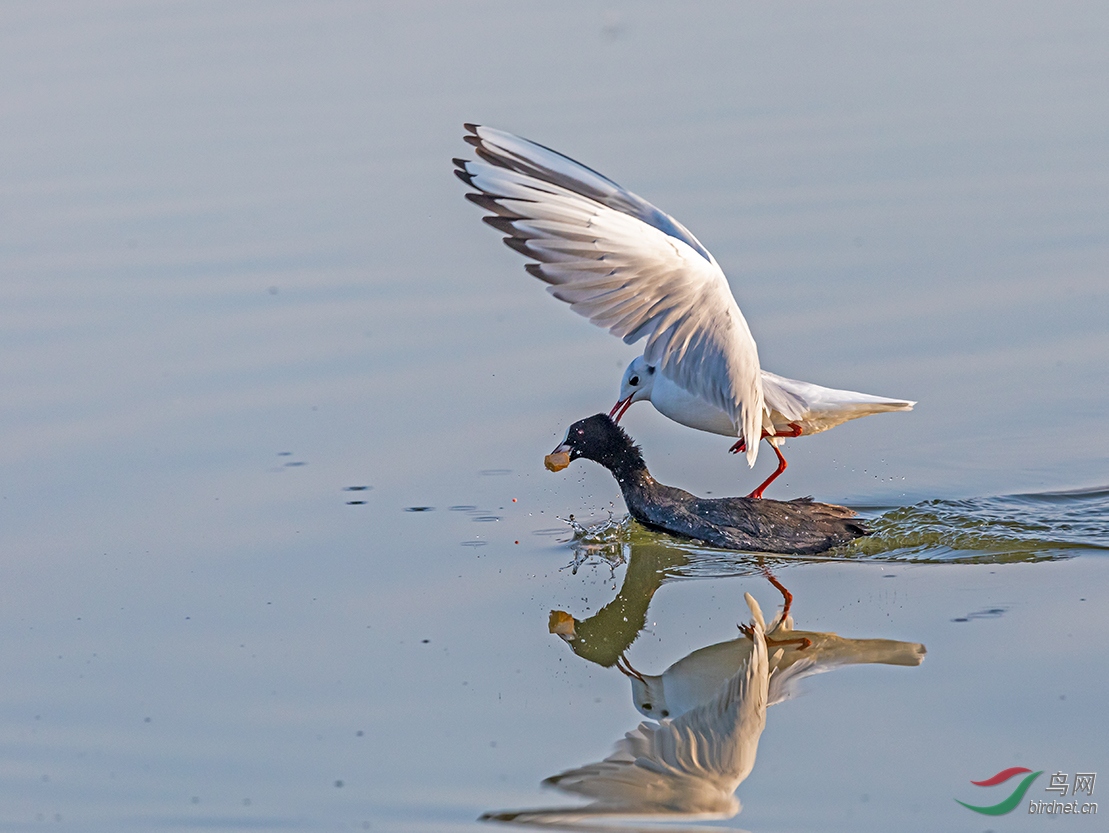 爱游戏（ayx）中国官方网站