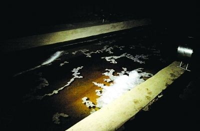 为什么发情又被称为“发春”？“ayx官网”