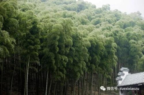 爱游戏（ayx）中国官方网站