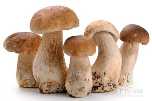 爱游戏（ayx）中国官方网站