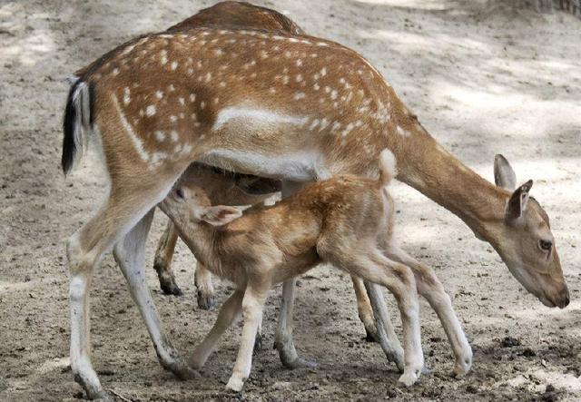 爱游戏（ayx）中国官方网站