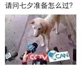 
播音主持人的七夕表达方式【爱游戏（ayx）中国官方网站】(图3)