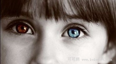 ‘ayx官方网站’遵义拟投4.3亿元建体育文化公园(图3) ayx官网