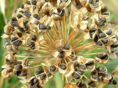 爱游戏（ayx）中国官方网站