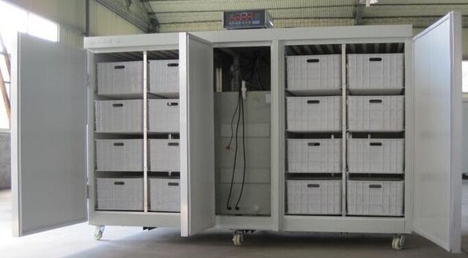 环境观察:携手行动,共建美丽中国【ayx官网】(图2) ayx官方网站