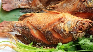 “ayx官方网站”基于腐败预防视角下生态环保工作的思考(图2) ayx官网