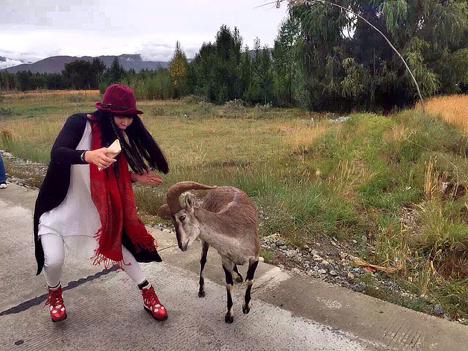 生态环境部通报表扬安徽、福建、广西3地环境违法犯罪案件办理工作|爱游戏(ayx)中国官方网站(图1) ayx官方网站