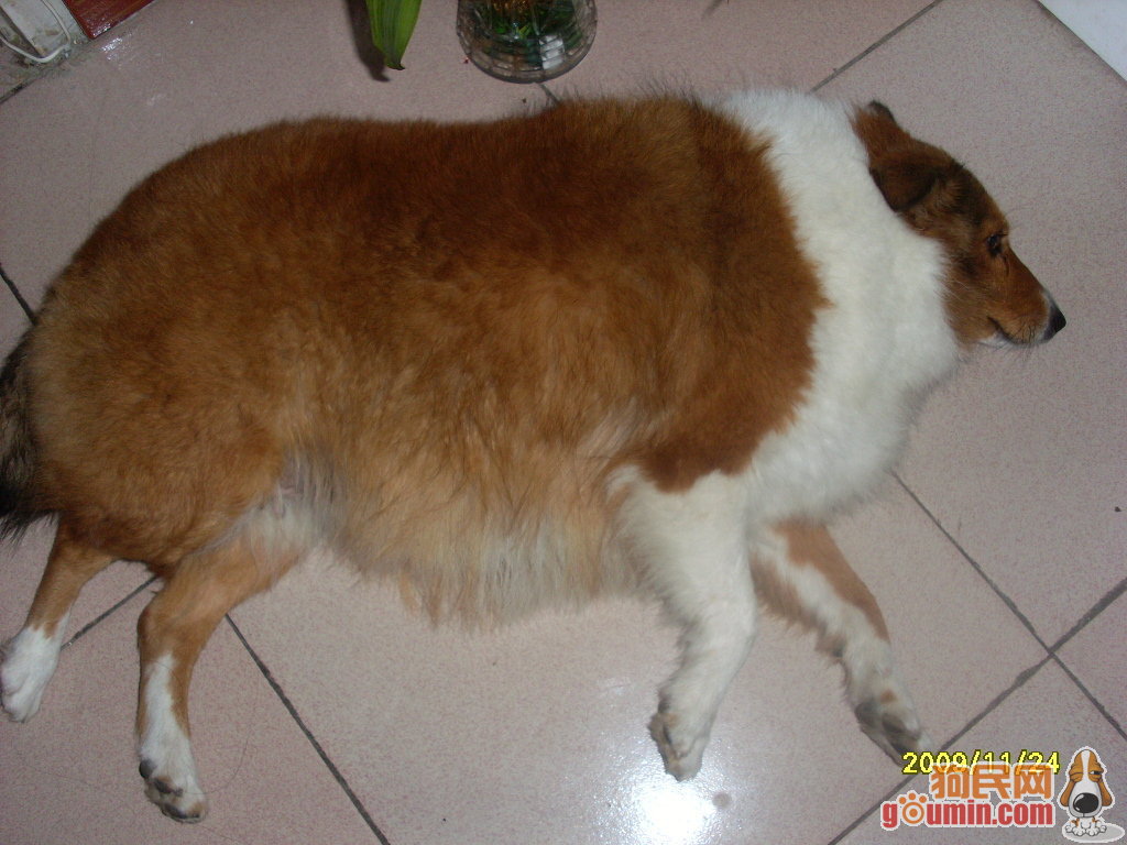 【ayx官网】
欧冠八强分组已出 皇马尤文同入死亡半区 C罗有望对决皇马(图2) ayx官方网站