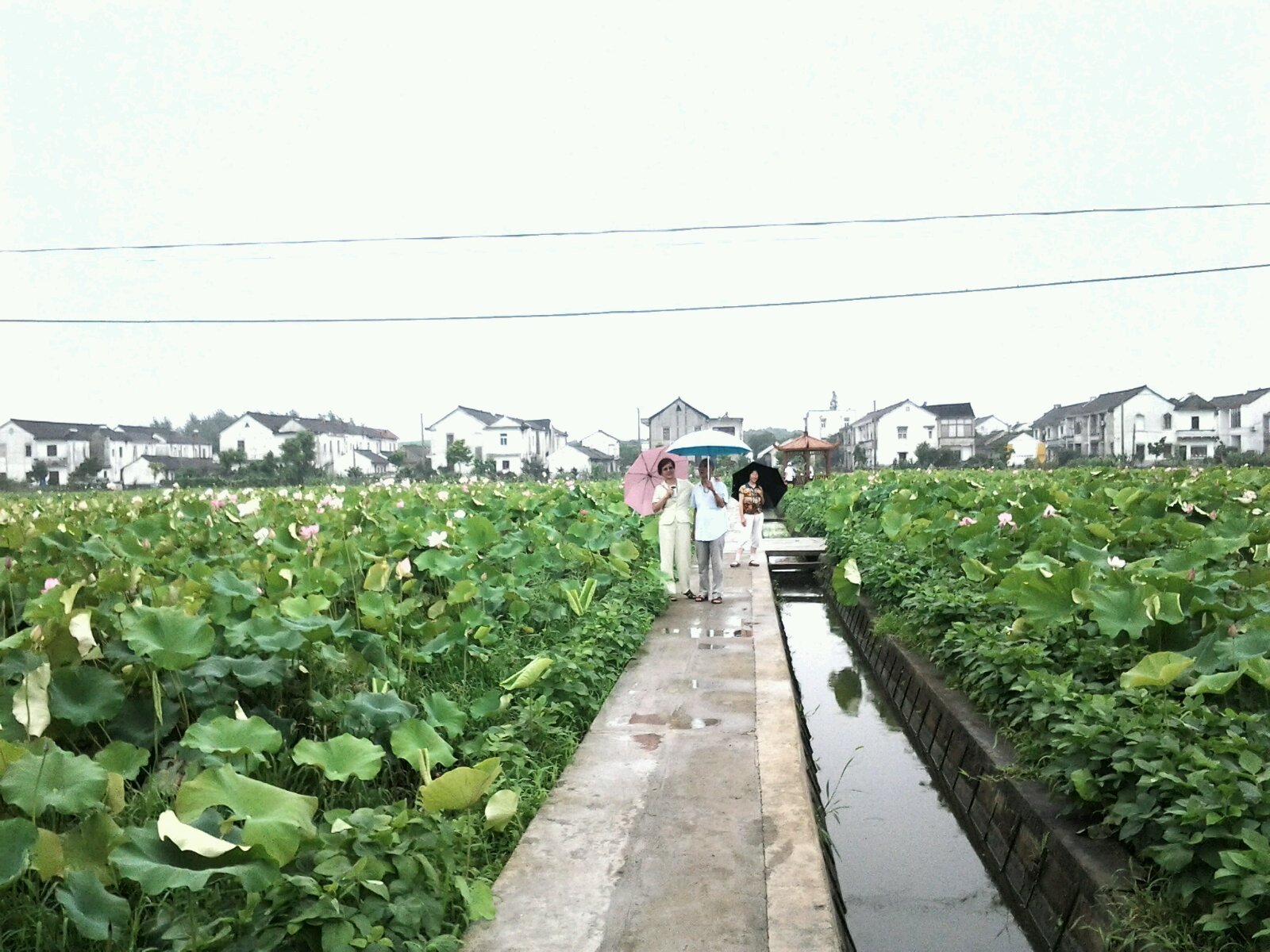 中国人中平均身高最高的地域 曾是蚩尤的子女 有白人血统“ayx官方网站”(图1) 爱游戏(ayx)中国官方网站