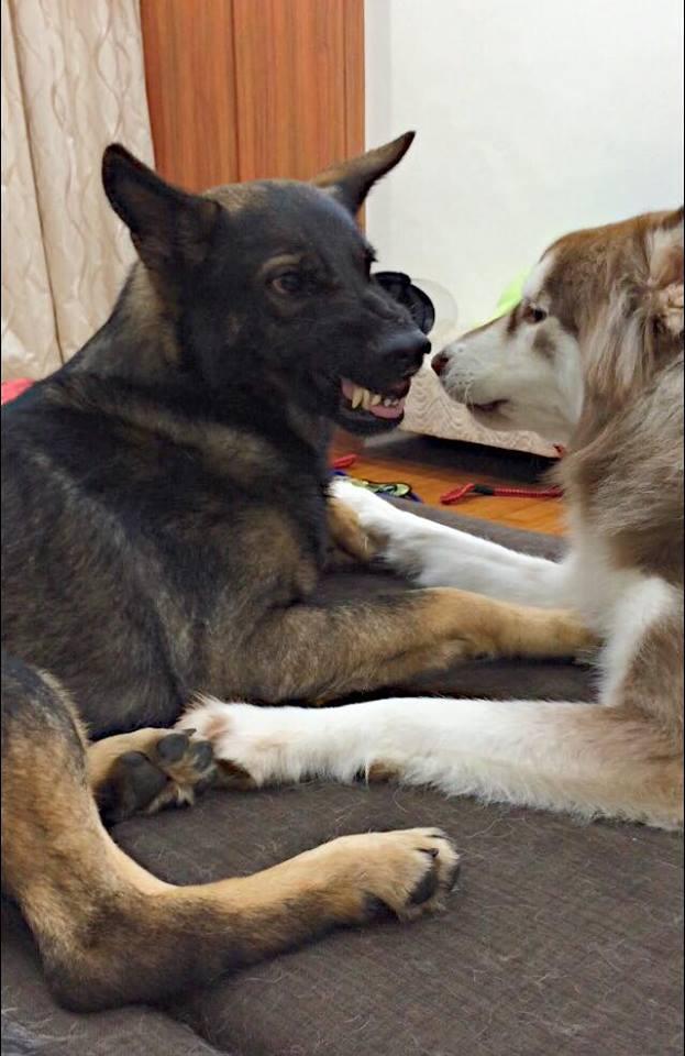 爱游戏（ayx）中国官方网站