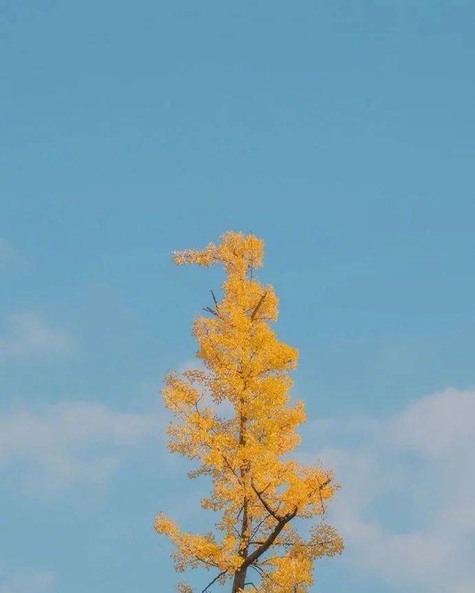 
晚放心语心情温暖的句子文字 经典说说暖心语录语句 配唯美图片‘ayx官网’(图22)