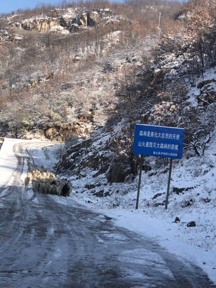 爱游戏(ayx)中国官方网站|武汉大学环境法研究所与山西省高院举行环境资源审判座谈会(图3) ayx官网