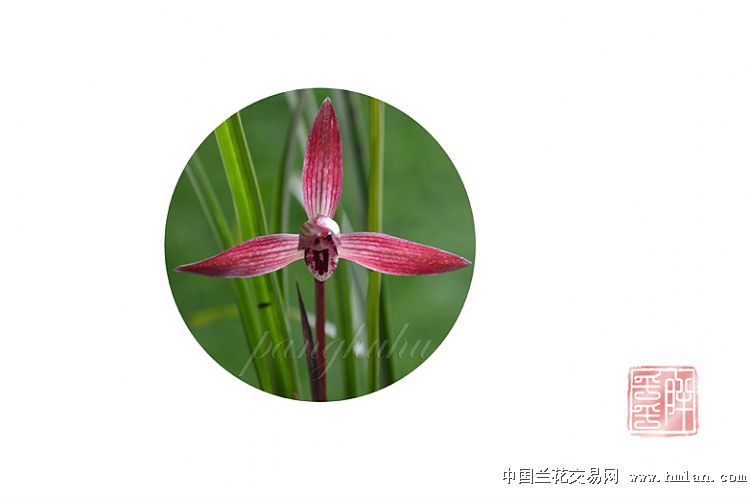 【爱游戏(ayx)中国官方网站】环保不作为慢作为将量化问责(图1) ayx官网