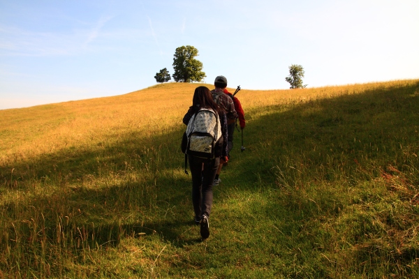 德安德烈•乔丹四年4000万签约篮网【ayx官方网站】(图2) ayx官网